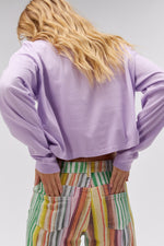 The Beach Boys License Plate Crop Merch - Lavender Bloom