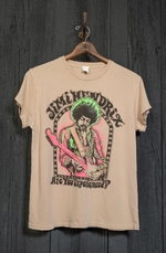 Jimi Hendrix Crew Tee - Taupe