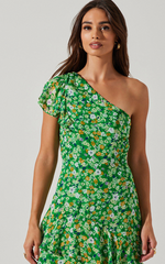 Victoriana Dress - Green Floral
