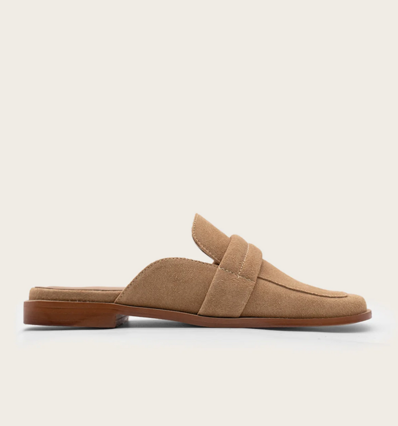 Congo Suede Mule - Almond